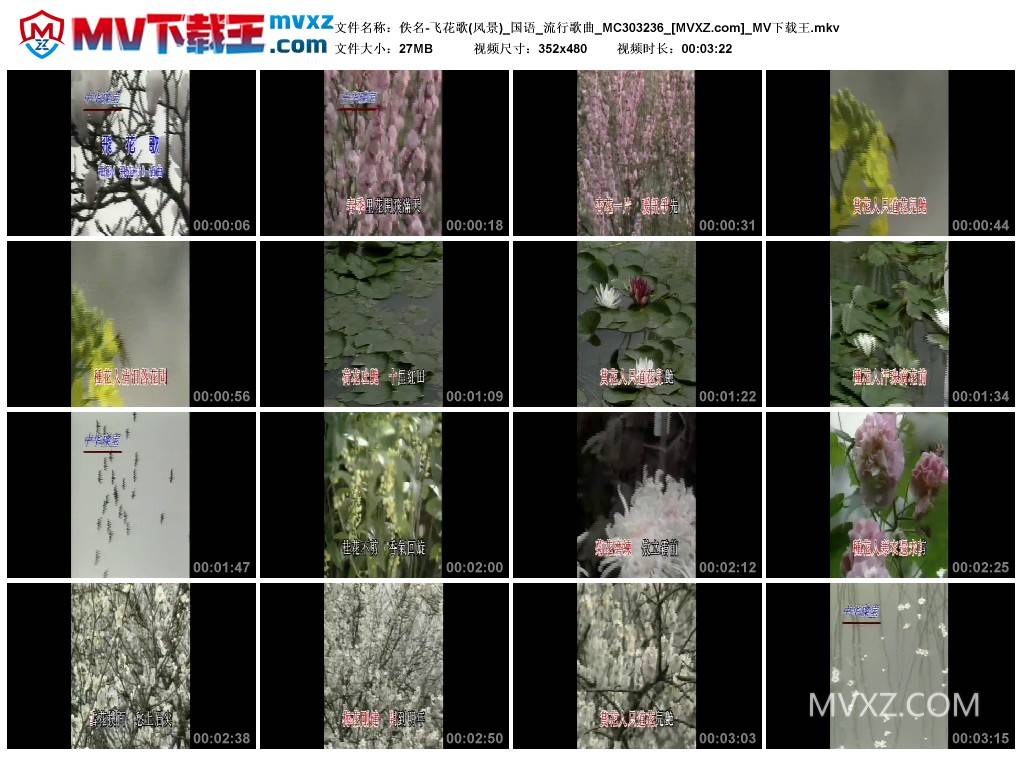 佚名-飞花歌(风景)_国语_流行歌曲_MC303236